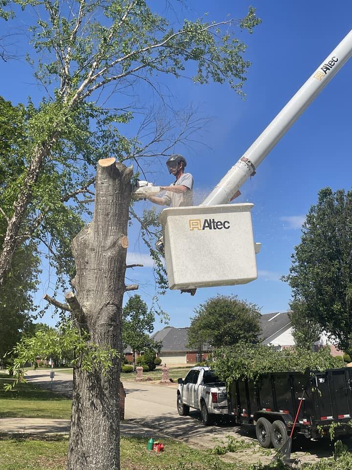 Cade Wilder operating a bucket truck for tree removal