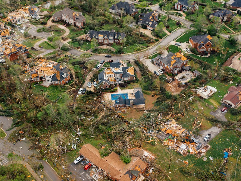 Storm damage cleanup - fallen trees and debris removal